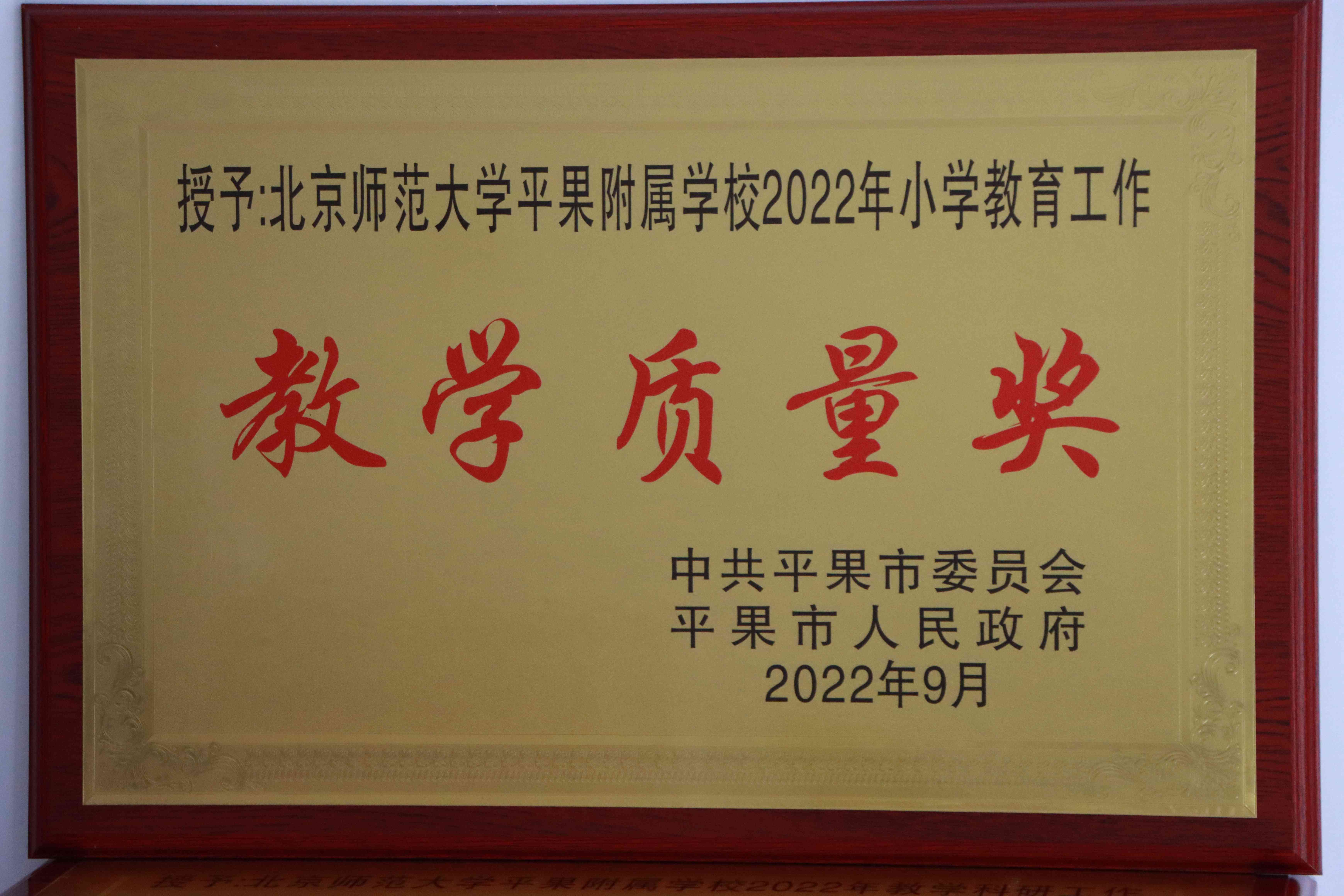 2022年小学教育工作教学质量奖-平果市人民政府